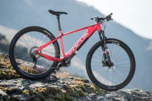 Focus_36h-Alpencross_bike