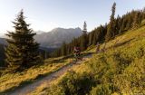 MTB_saalfelden_leogang_160