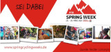 banner-spingcycleweeks-fiedler-concepts