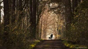 Mann mit E-Bike im Gegenlicht auf einem Waldweg