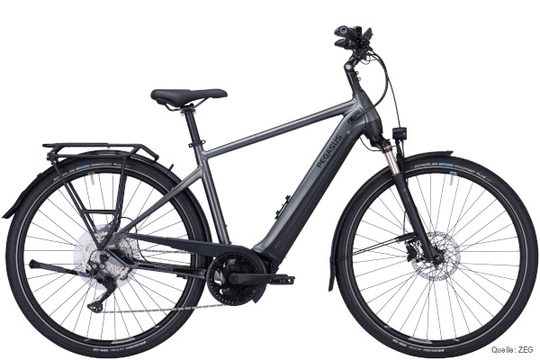 E-Bike-Pegasus_Premio_10_750