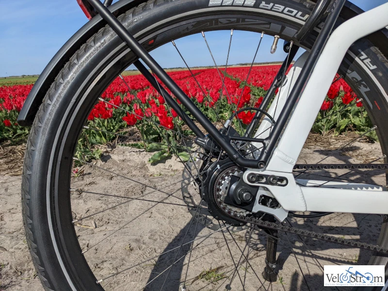 e-bike-charger3-gt-mit-kindernay-nabe-vor-eine-feld-mit-roten-tulpen