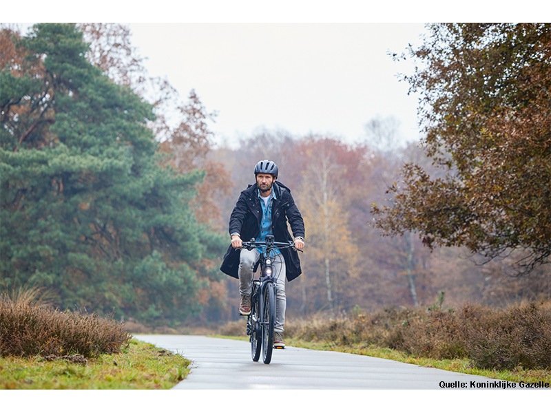 E-Bike im Herbstwald