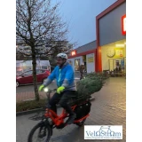 Ein Mann transportiert einen Tannenbaum auf einem Lastenrad.