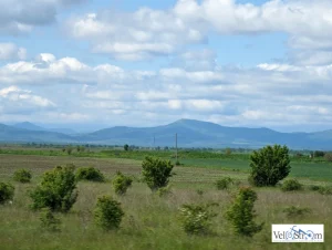 dunav-ultra-blick-aus-dem-zug