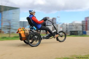 hp-velotechnik-Delta_tx_silber_action