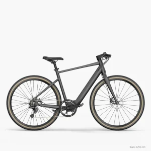 fiido-c21-gravel-electric-bike-grey_1000x